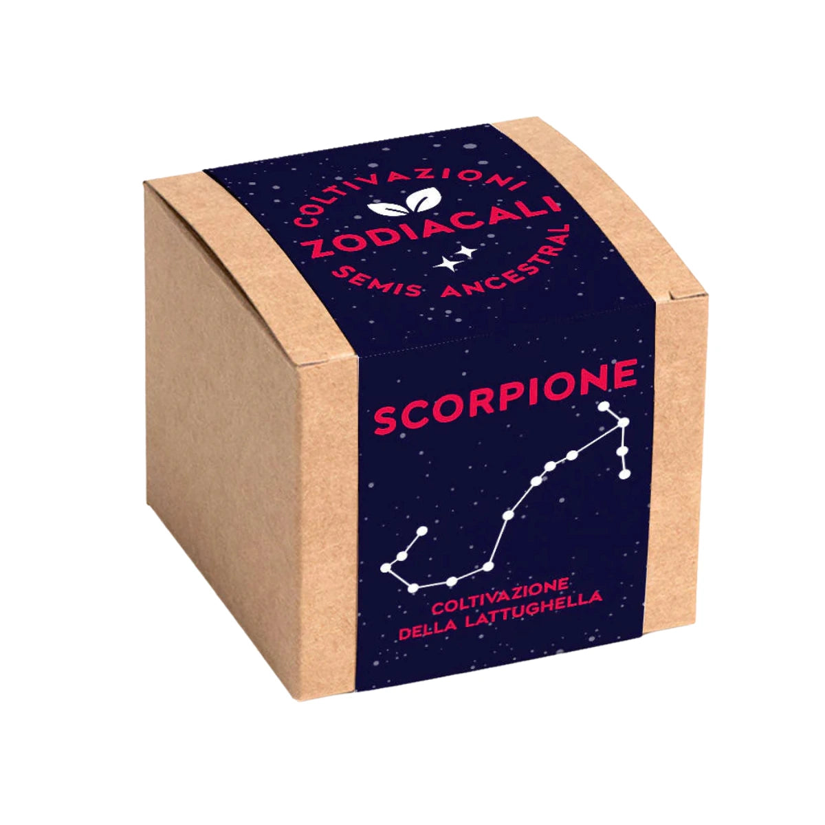 Confezione Kit autocoltivazione con disegno costellazione zodiacale dello scorpione. Sfondo bianco