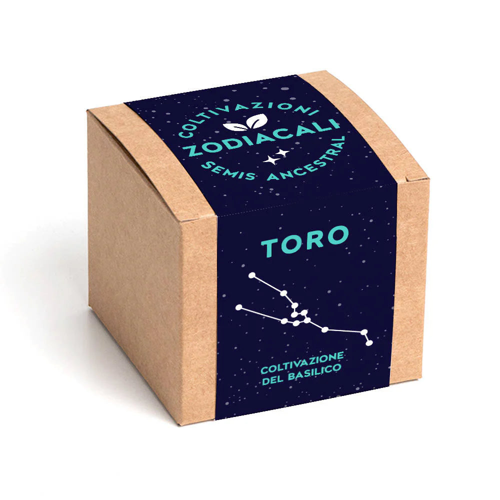 Confezione Kit autocoltivazione con disegno costellazione zodiacale del toro.  Sfondo bianco