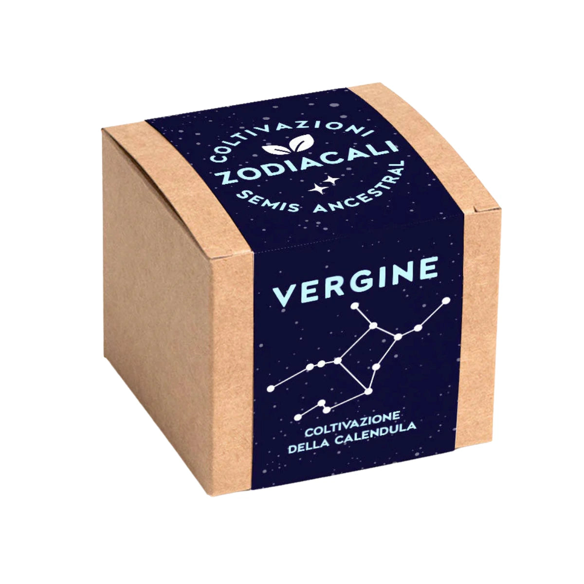 Confezione Kit autocoltivazione con disegno costellazione zodiacale Vergine.  Sfondo bianco