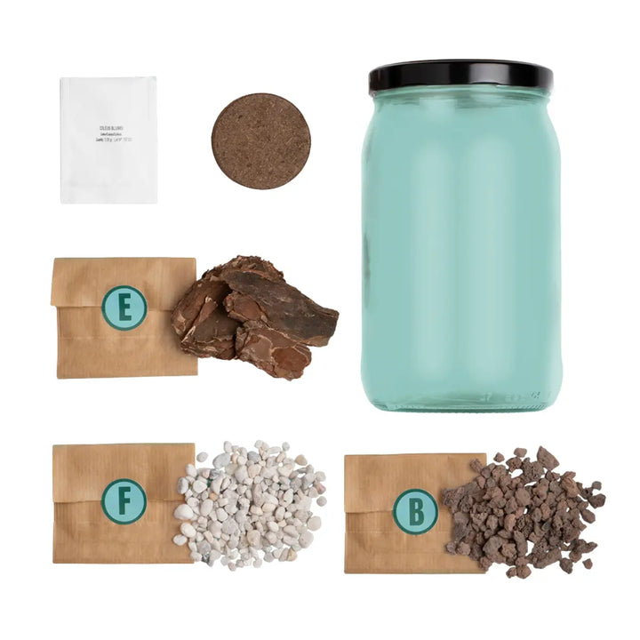 Composizione del kit Terrarium con torba, bomba,corteccia,sassolini e barattolo