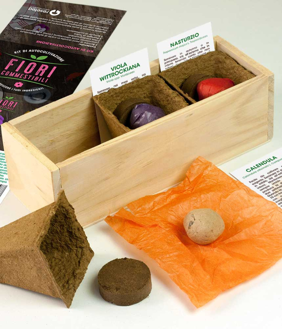 Scatola in legno con all'interno vasi biodegradabili, bombe di semi e schede prodotto. Sfondo bianco