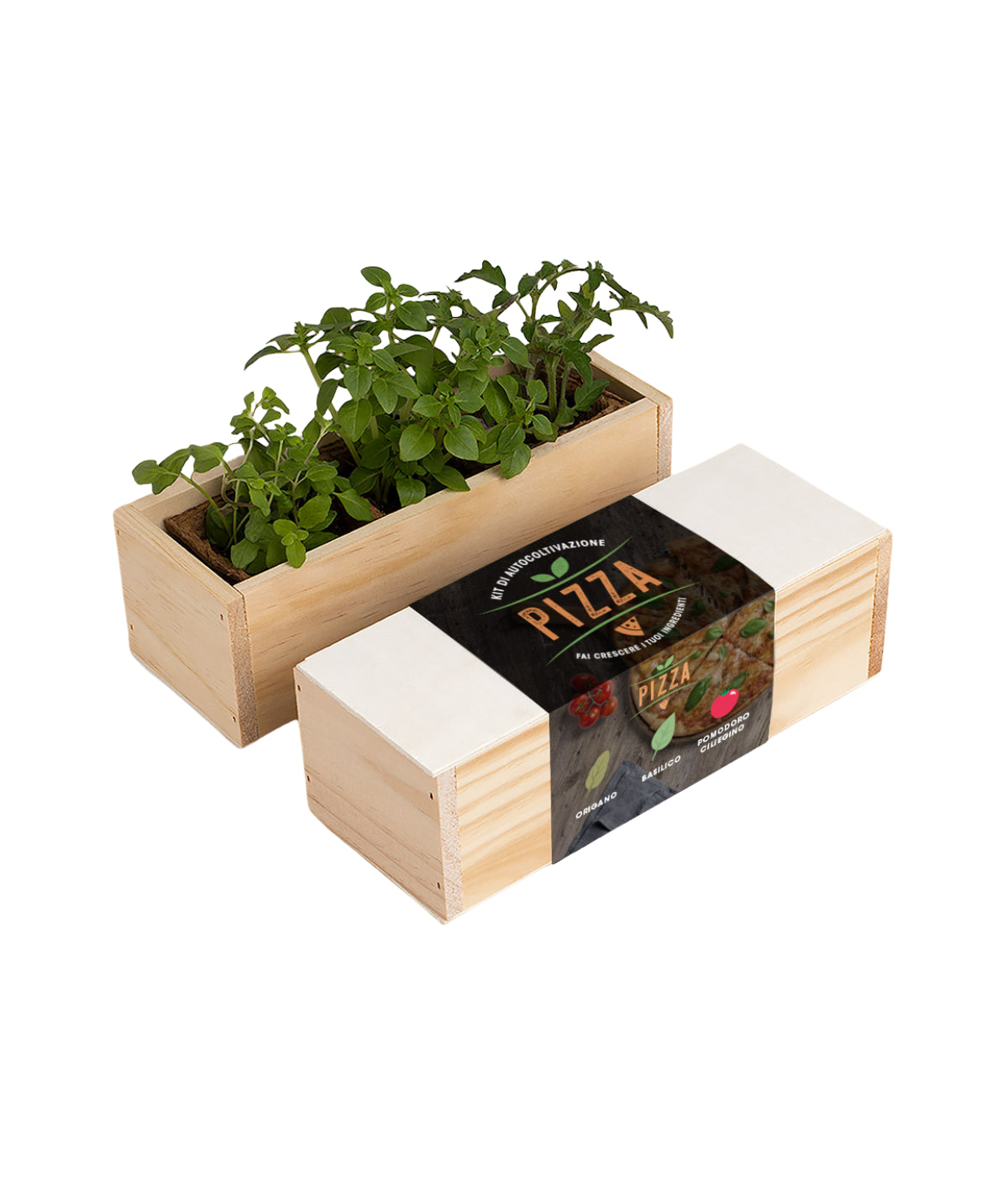 Coperchio scatola in legno con scritta pizza e contenitore con tre piantine verdi. Sfondo bianco