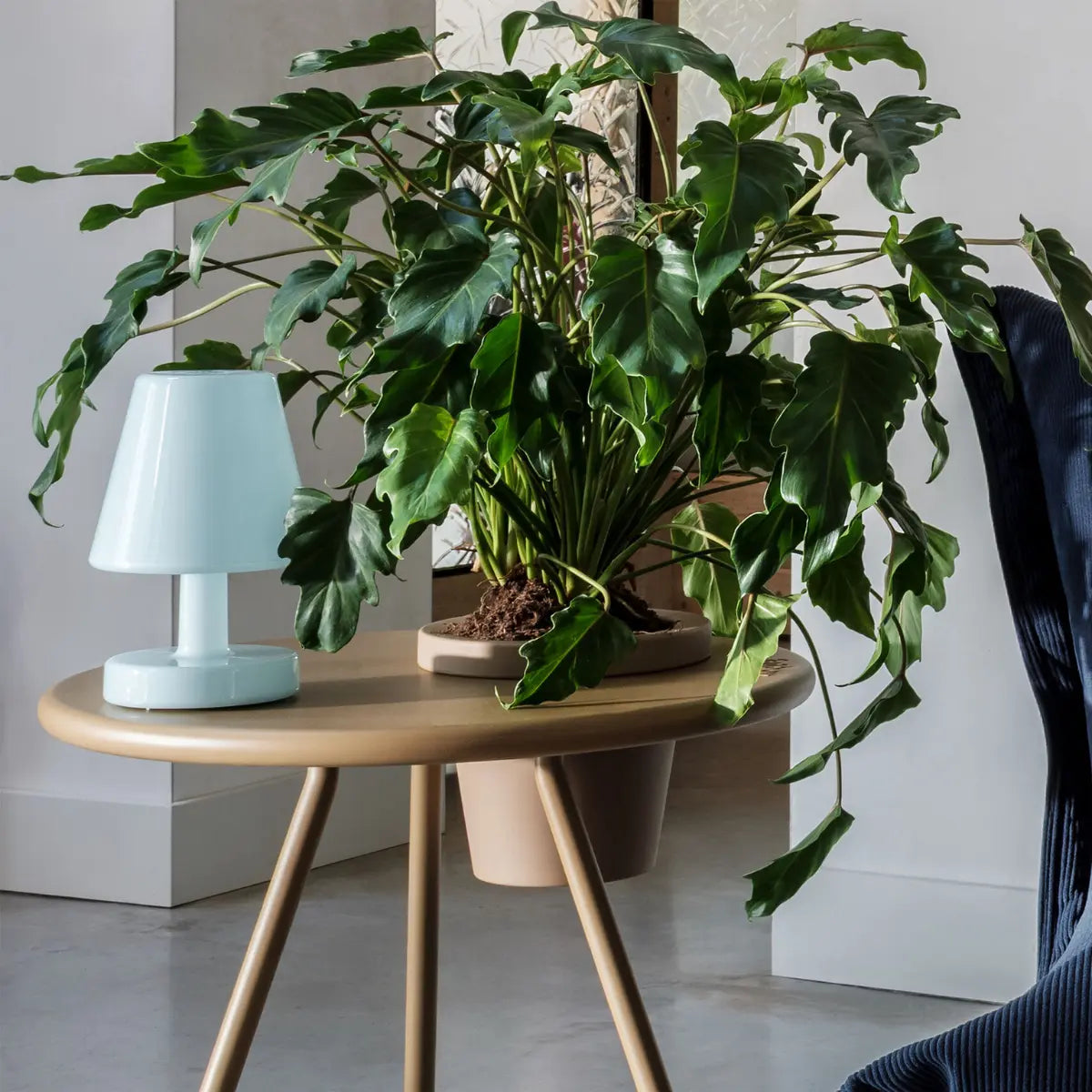 Lampada da tavolo Ambiance di Fatboy lucida color azzurro pastello da interno  ambientata su un tavolo