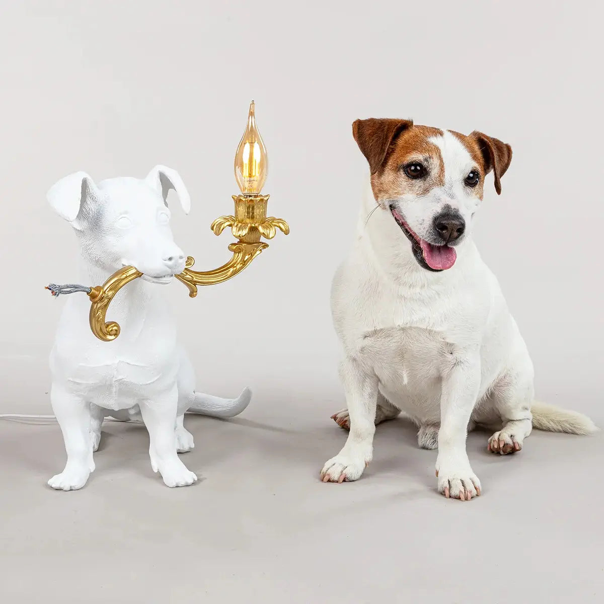 Lampada in resina bianca di un cane che tiene in bocca un pezzo di lampadario con lampadina che si illumina. Accanto il cane vero da cui è ispirata la lampada 