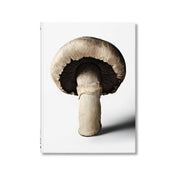 Copertina del libro The Gourmand's Mushroom, A Collection of Stories and Recipes. Copertina Bianca con foto di fungo