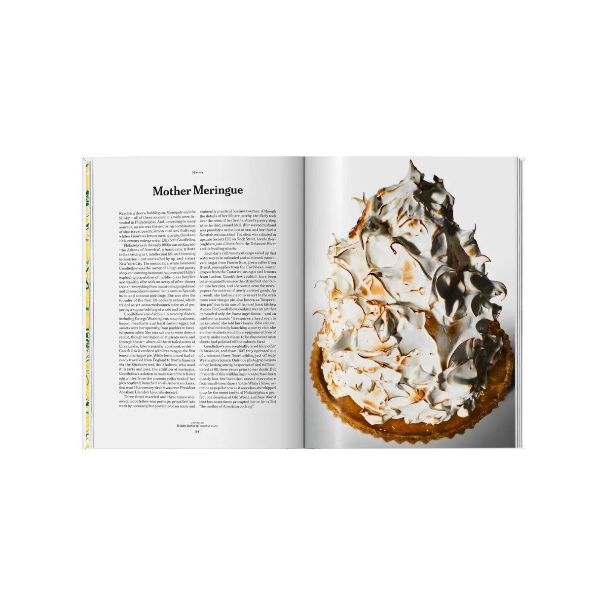 Pagine interne libro limone con storia mother meringue. Sfondo bianco