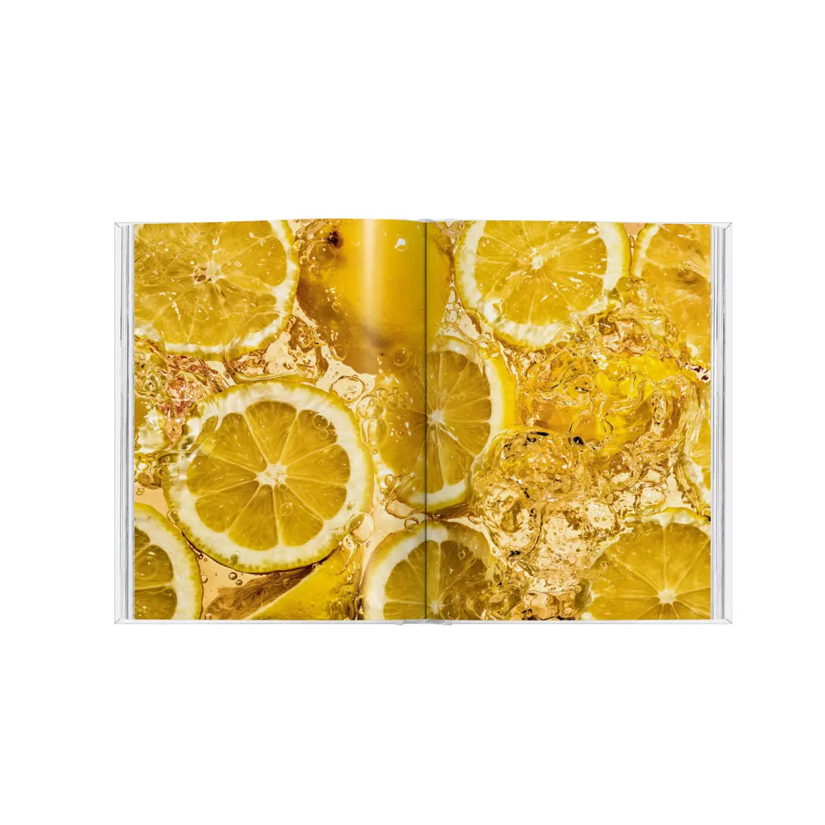 Pagine interne libro limone con fettine di limone. Sfondo bianco