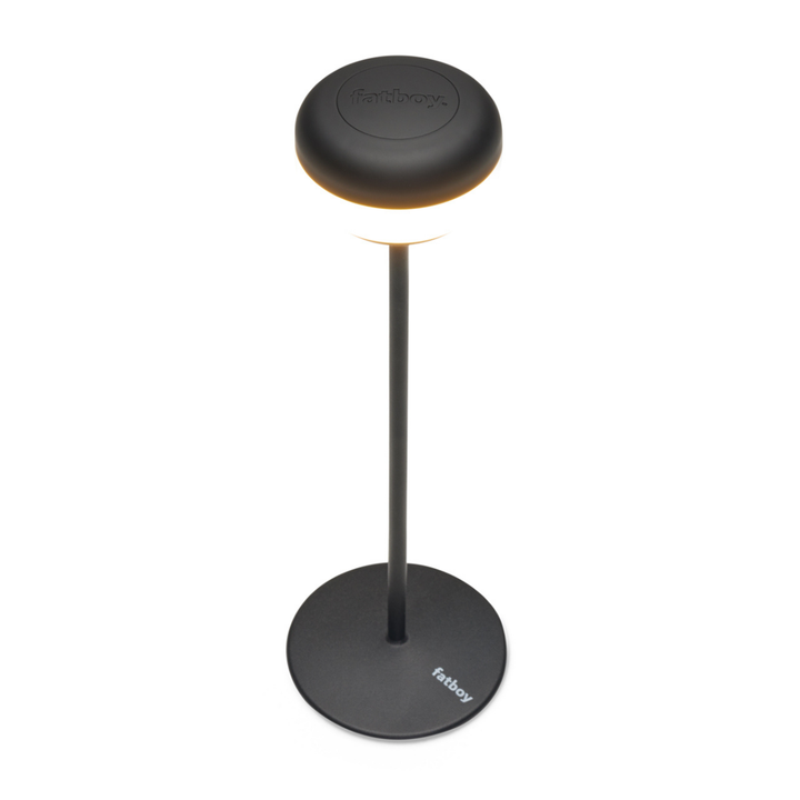 Lampada antracite con stelo e lampadina dimerabile staccata. Immagine su sfondo bianco
