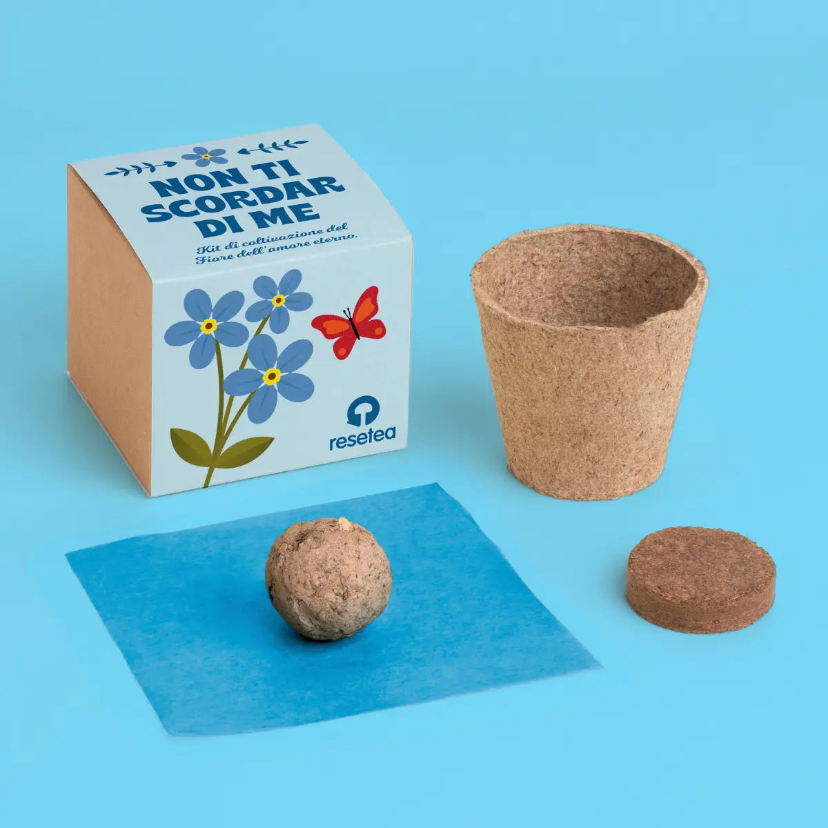 Non ti scordar di me kit di coltivazione Myosotis – Resetea