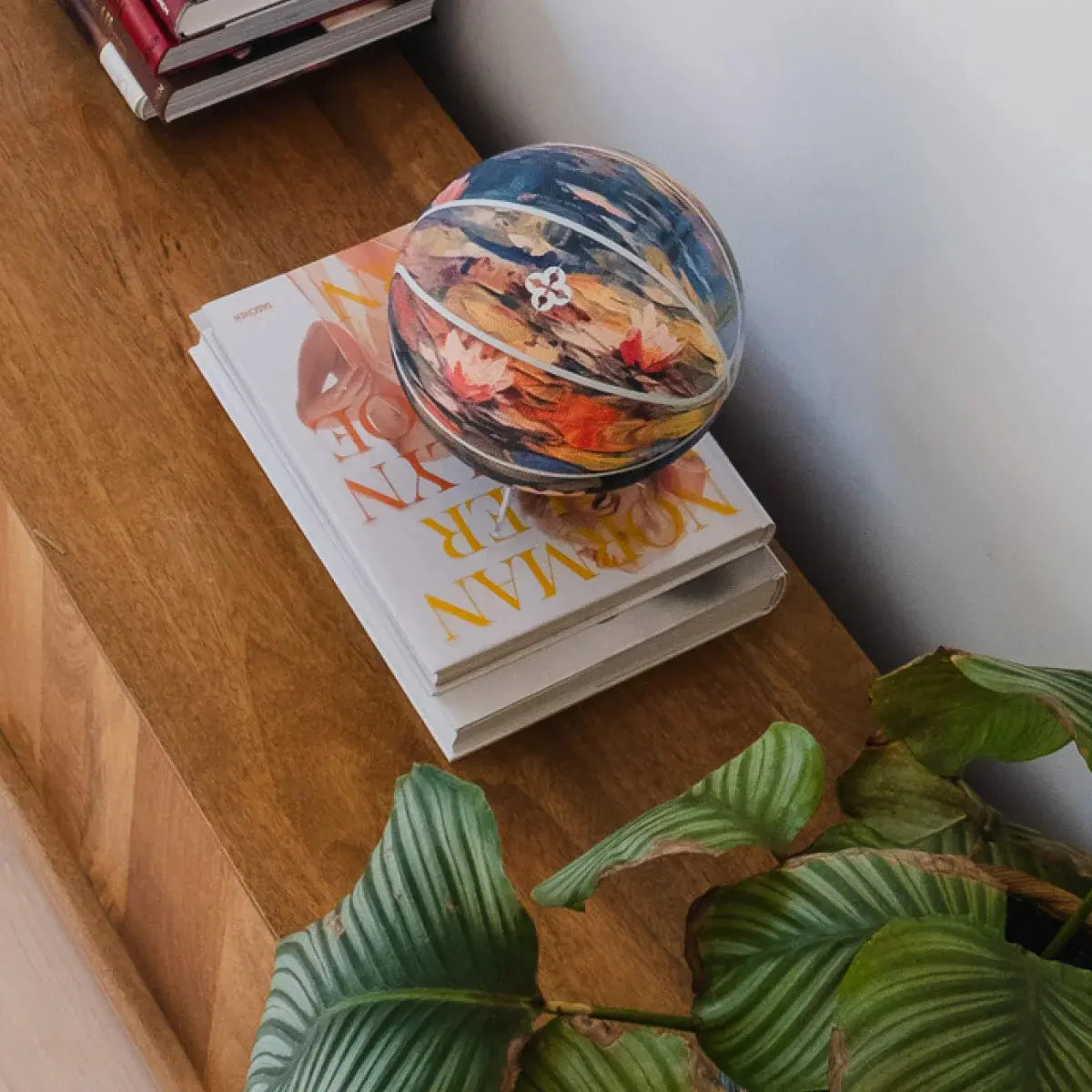 Palla da Basket con dipinto delle ninfee utilizzata come oggetto di arredo e posata sopra un libro.