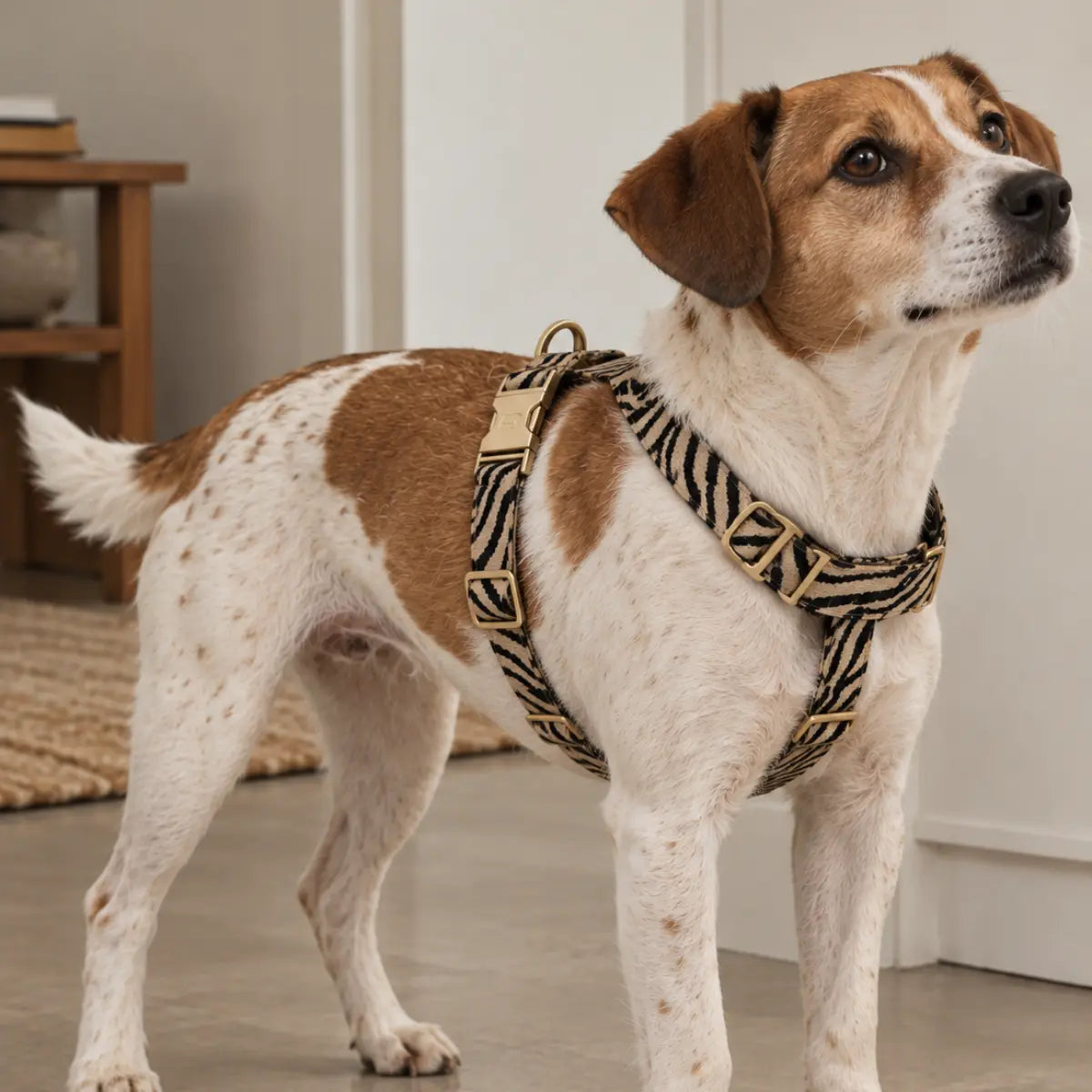 Pettorina Zebra beige e nera per cani