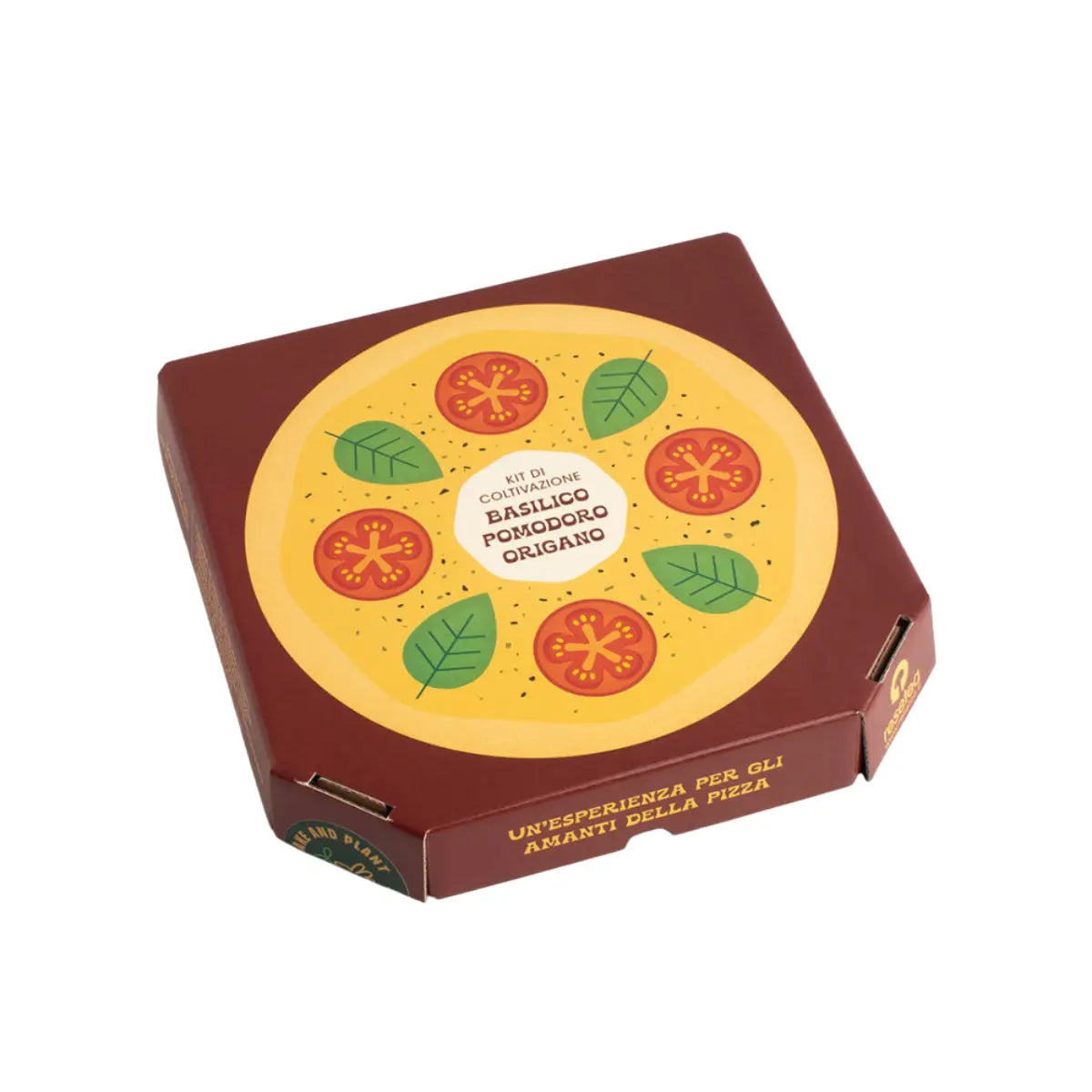 Kit di autocoltivazione degli ingredienti della pizza: basilico, pomodoro, origano