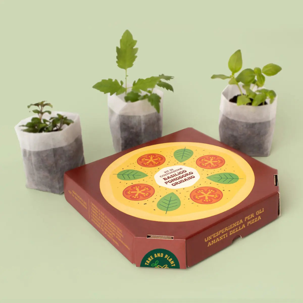 Kit di autocoltivazione della pizza con le tre piantine: pomodoro, basilico e origano