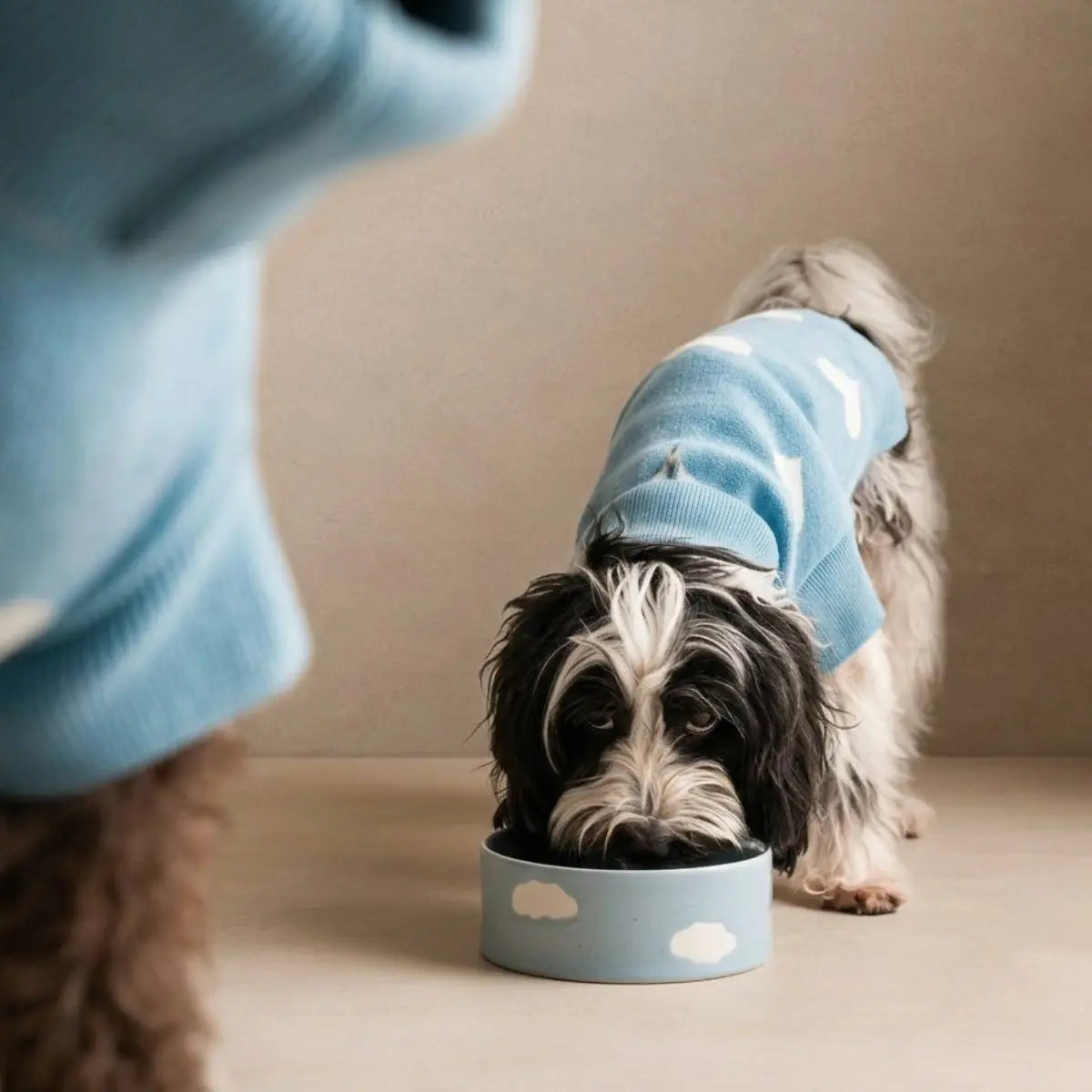Set 2 ciotole per animali Cloud Azzurro in gres 14 cm