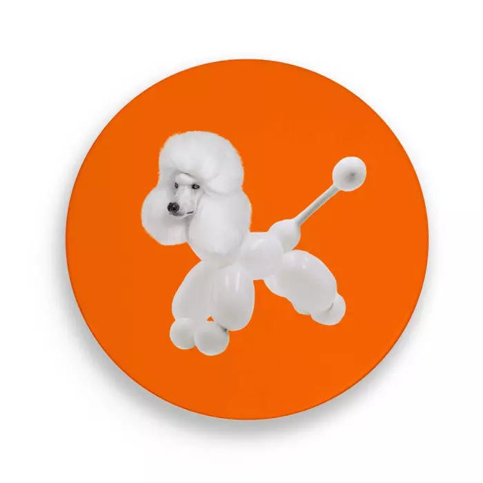 Sottopentola arancione con cane bianco raffigurato