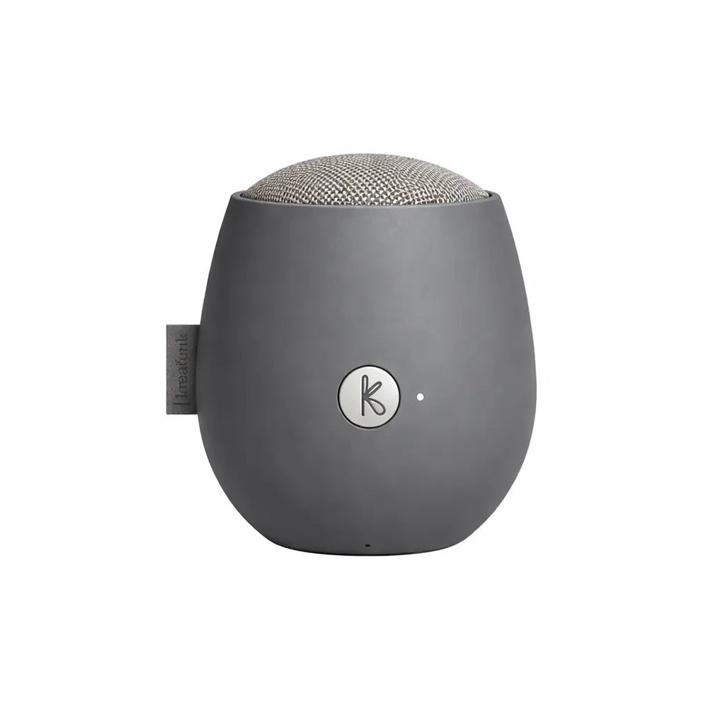 cassa audio portatile grigia su sfondo bianco