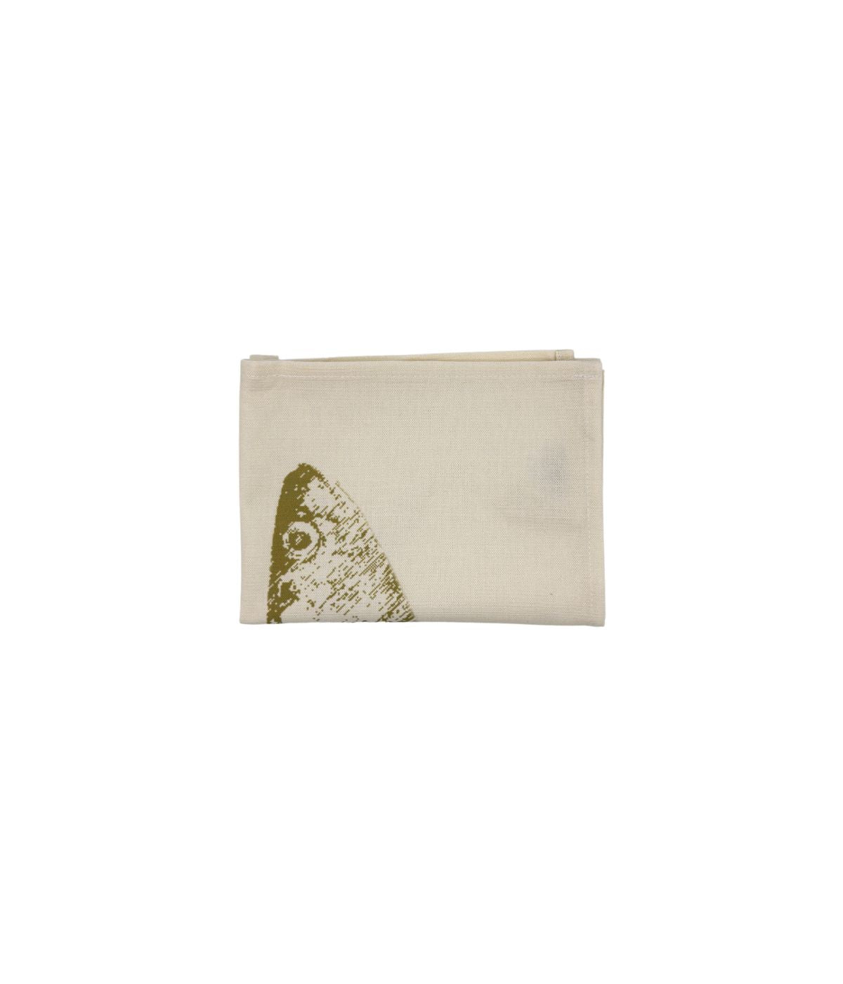 Dettaglio muso pesce dorato su fondo beige. Immagine sfondo bianco