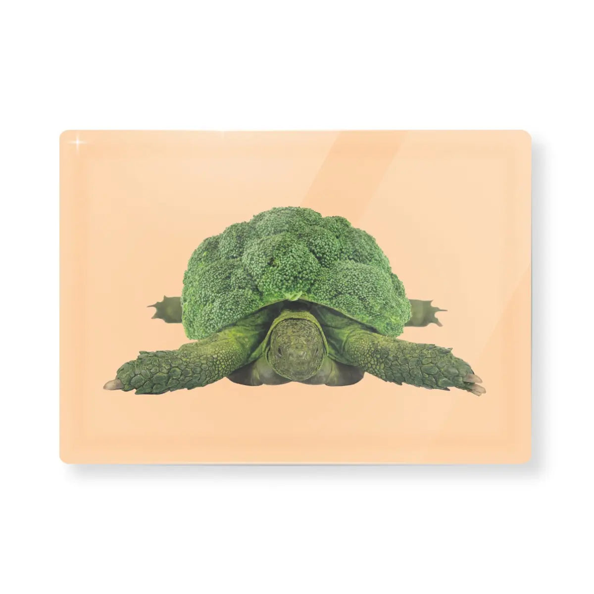 Tagliere rettangolare in vetro con tartaruga/cavolfiore. Sfondo del tagliere arancione pastello. Sfondo dell'immagine bianco 