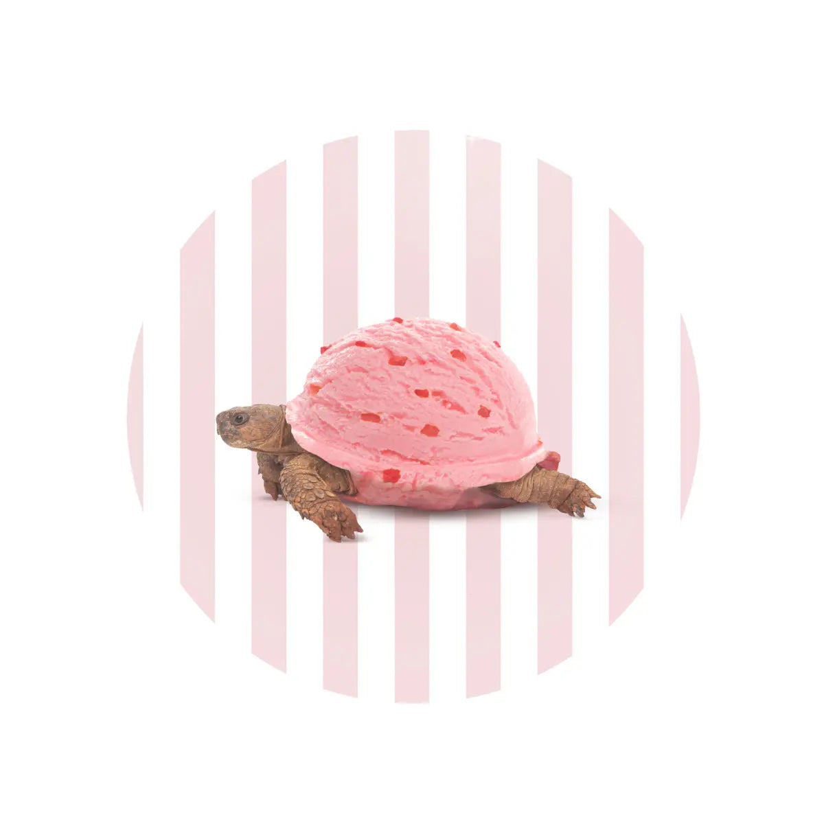 Tagliere rotondo in vetro con sfondo a righe rosa e banche. Decorazione con tartaruga/gelato. Sfondo immagine bianco 