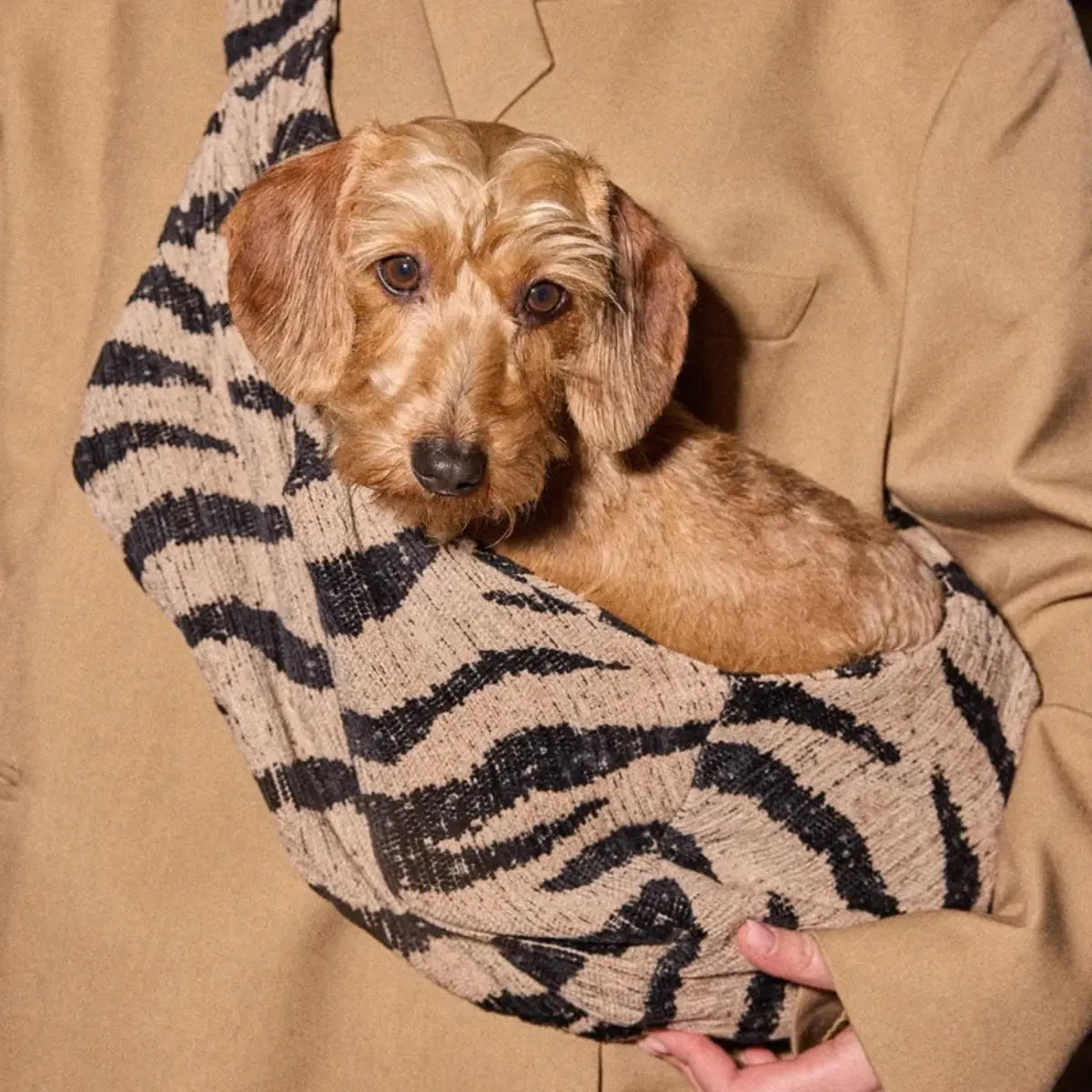 Borsa trasportino per cani Zebra beige e nera