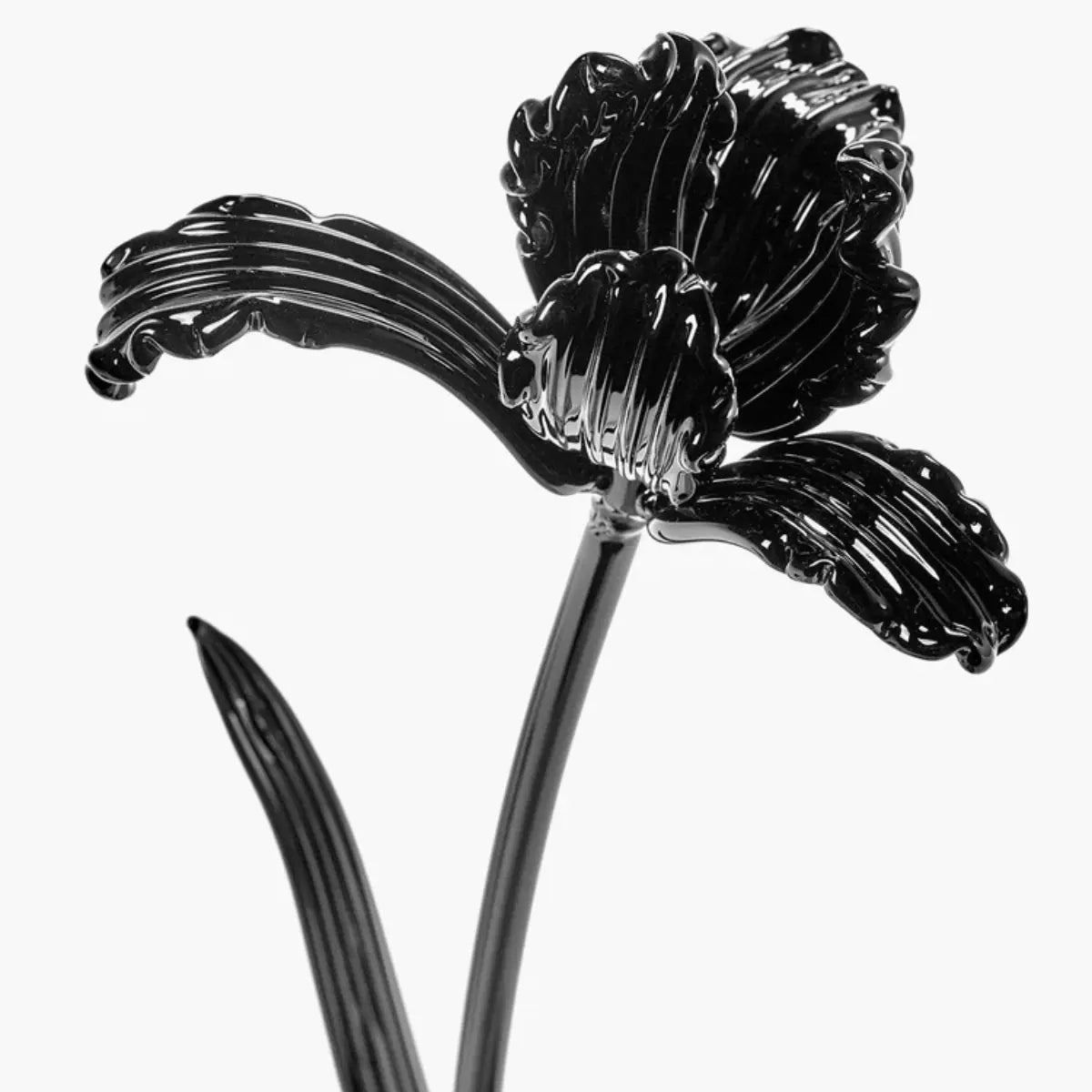 Fiore Tulipano nero Josephine in vetro borosilicato – Kris Van Assche x Serax