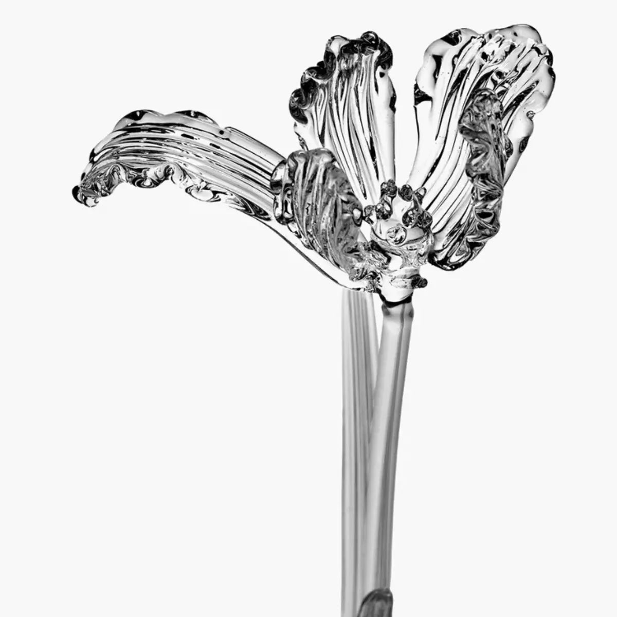 Fiore Tulipano trasparente Josephine in vetro borosilicato – Kris Van Assche x Serax