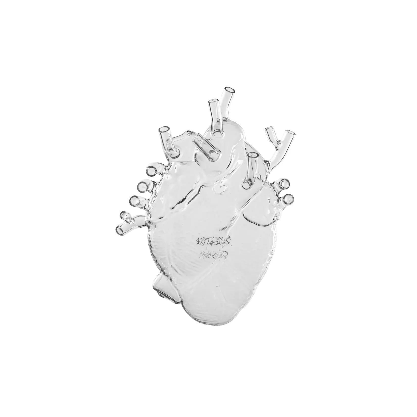 Vaso Love in Bloom di Vetro di Seletti raffigurante un cuore anatomico