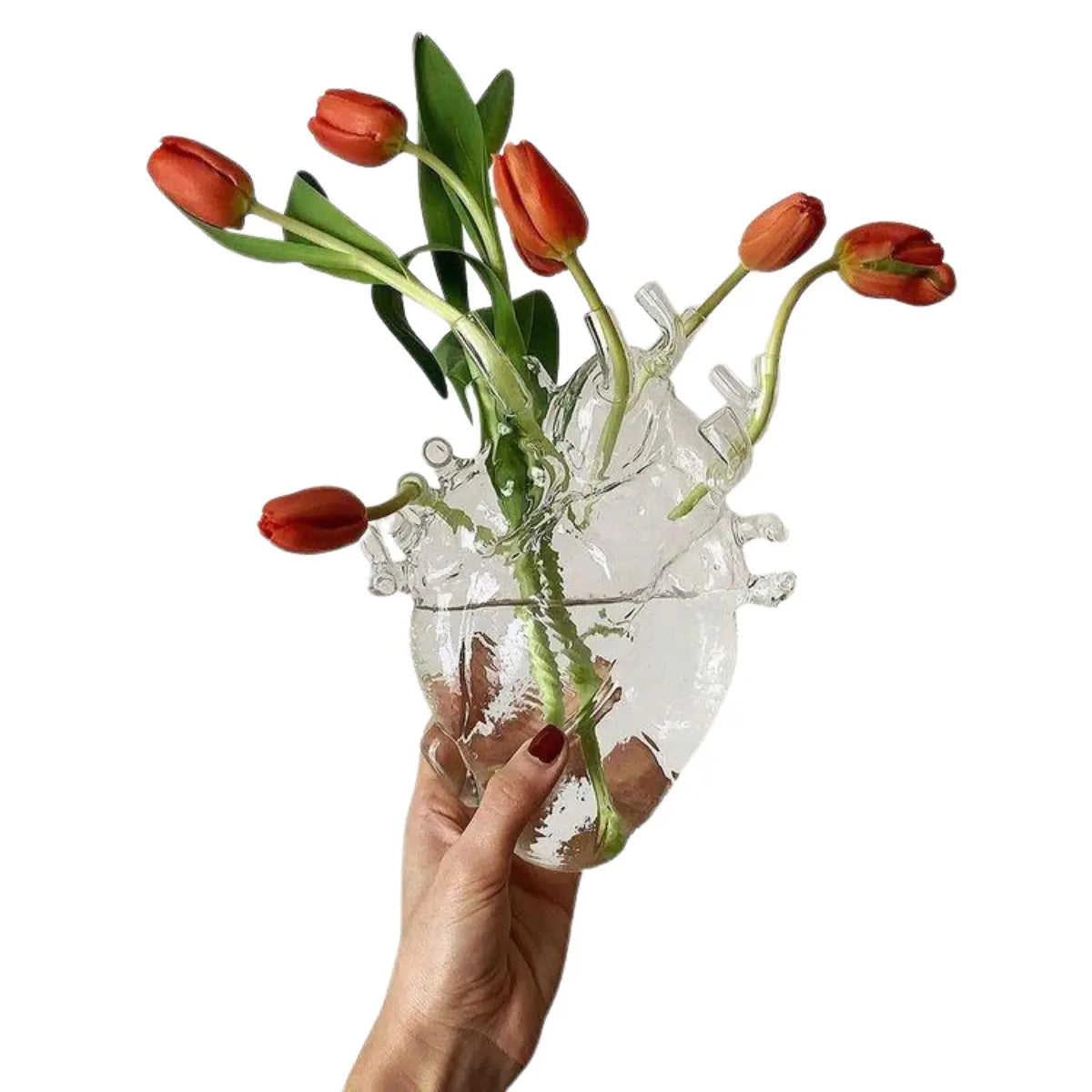 Vaso Love in Bloom di Vetro di Seletti raffigurante un cuore anatomico con dei tulipani arancioni infilati nei fori delle "vene" e "arterie"