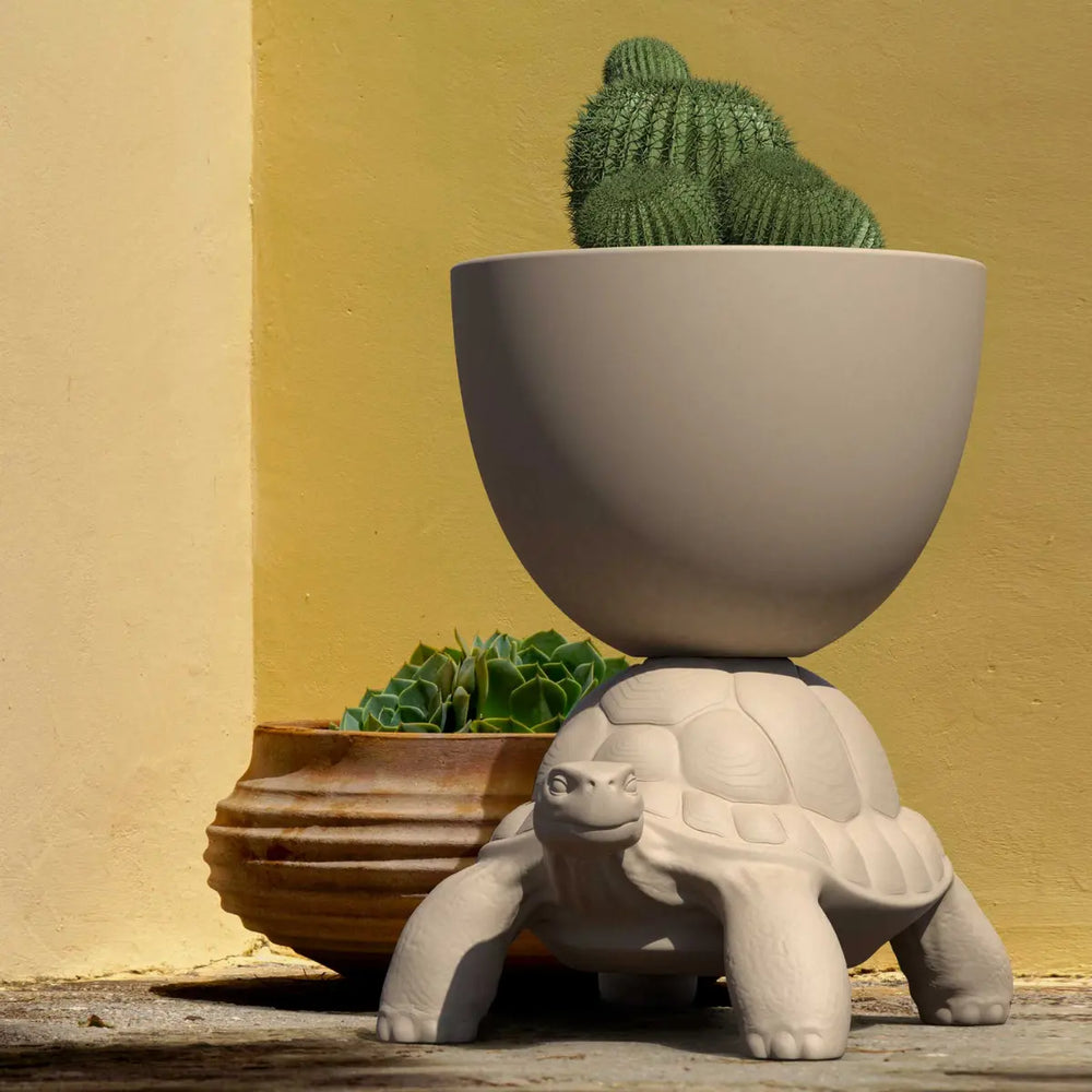 Vaso a forma di tartaruga che sorregge un vaso con un cactus sul carapace 
