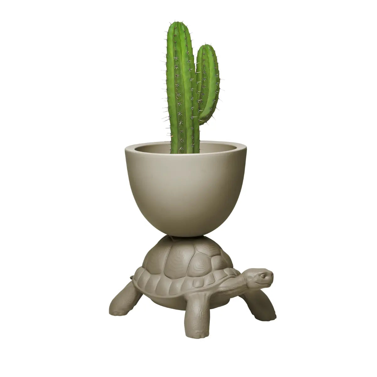 Vaso grigio sorretto sul carapace di una tartaruga in polietilene