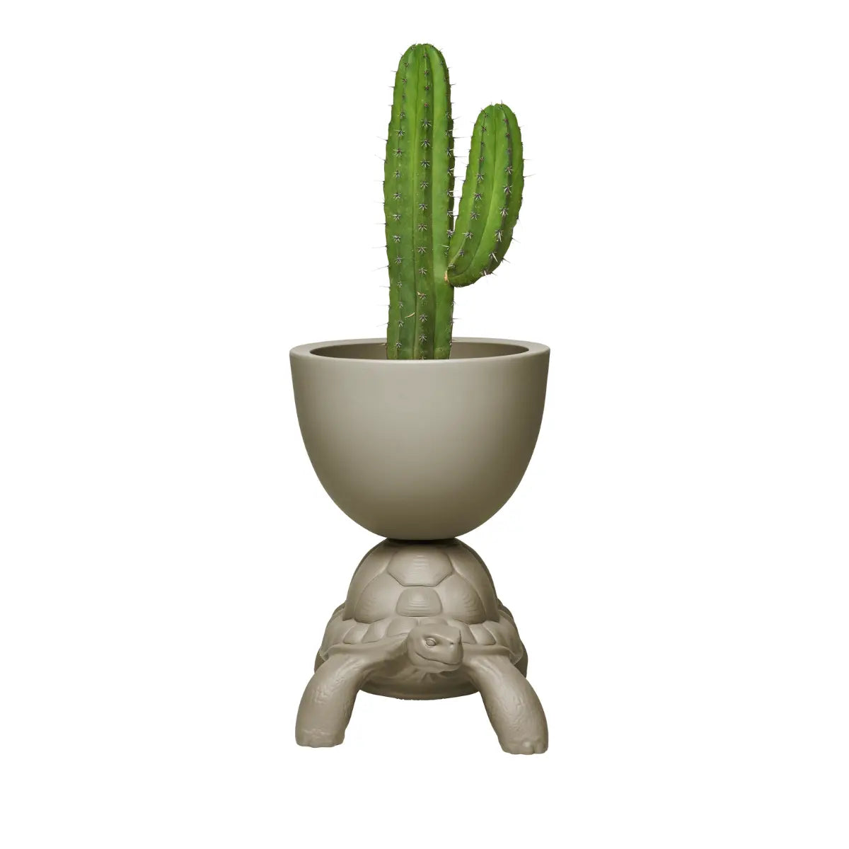 Vaso grigio sorretto sul carapace di una tartaruga in polietilene visione frontale