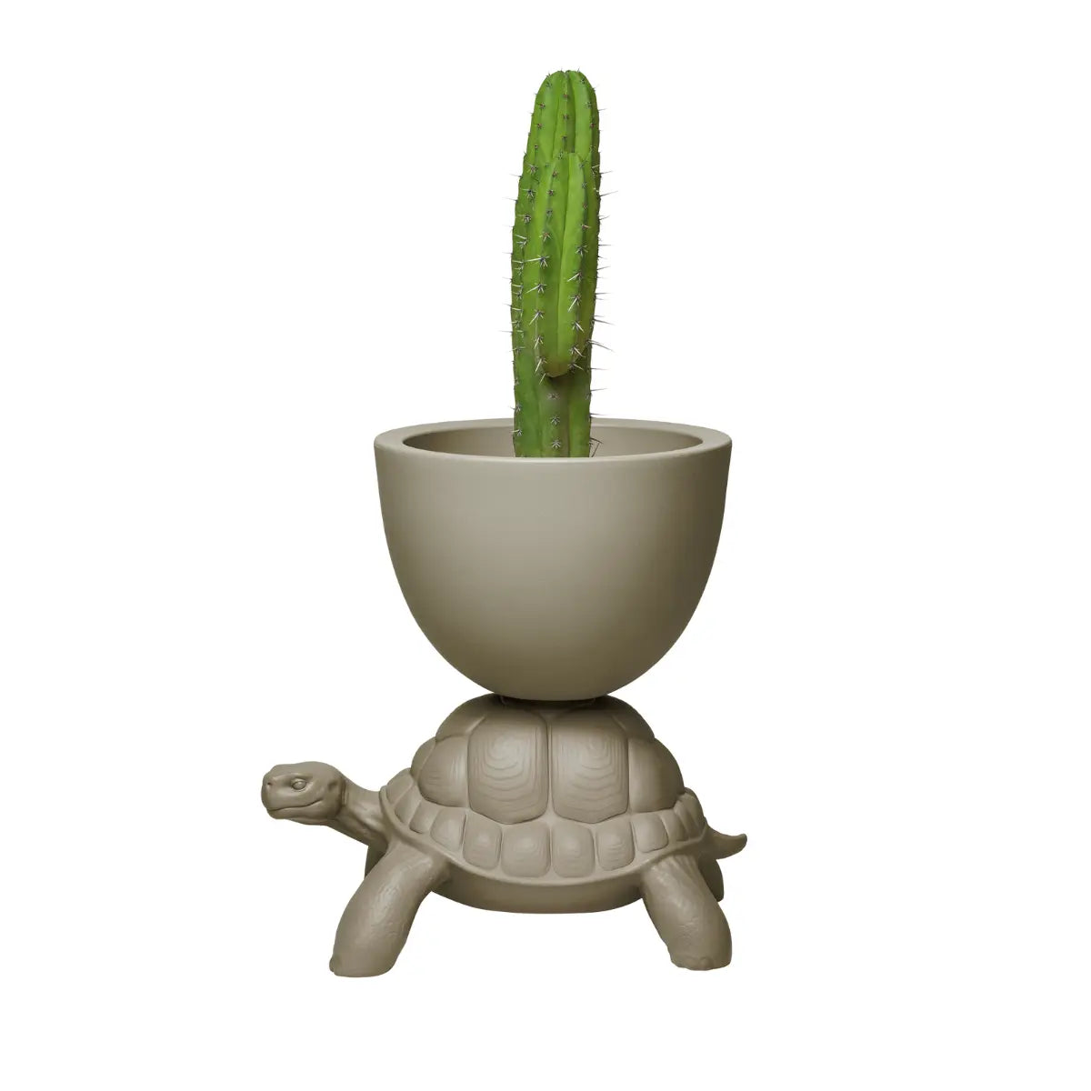 Vaso grigio sorretto sul carapace di una tartaruga in polietilene visione laterale