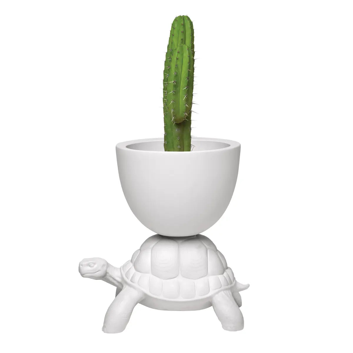Vaso a forma di tartaruga che sorregge un vaso con un cactus sul carapace visione laterale