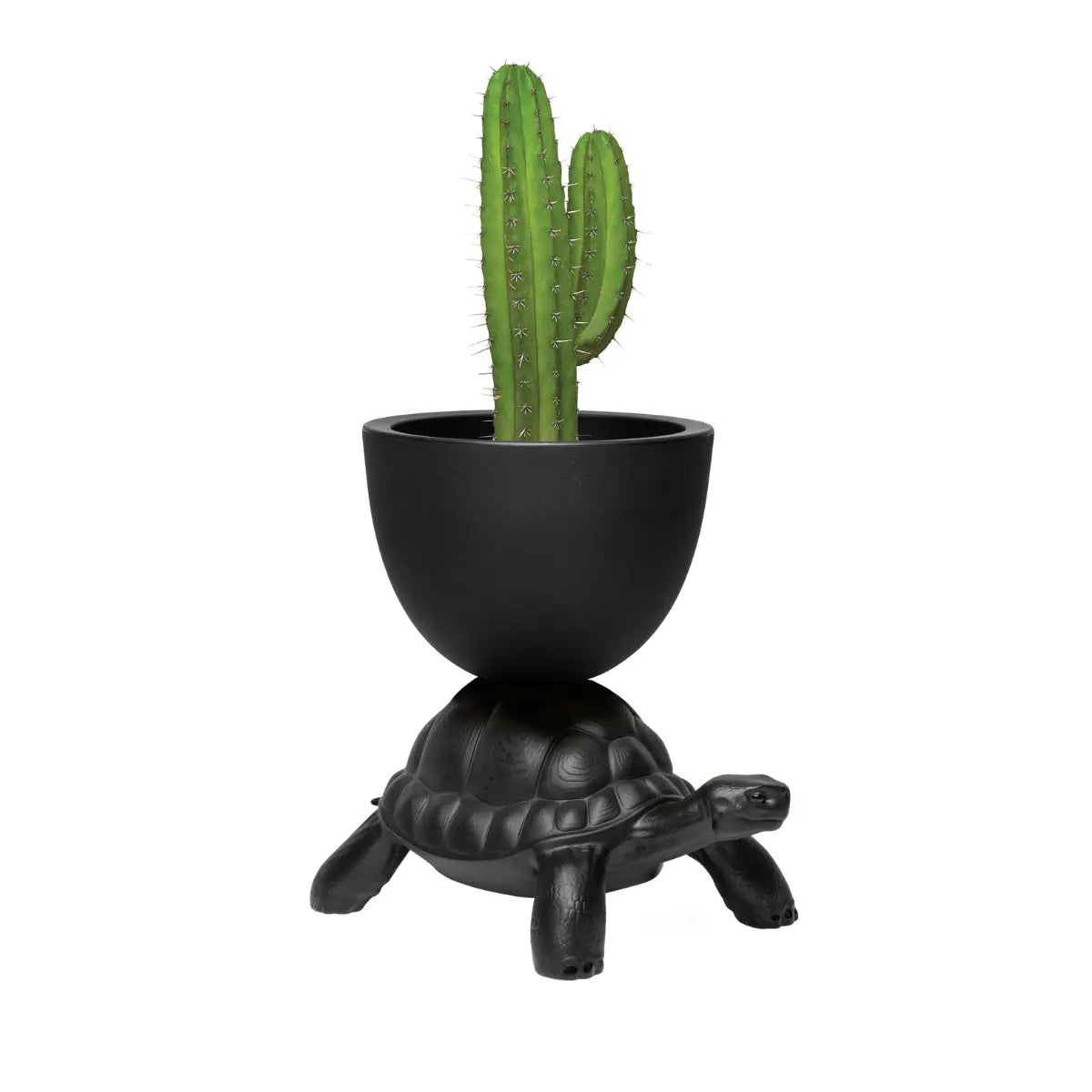 Vaso nero sorretto sul carapace di una tartaruga in polietilene