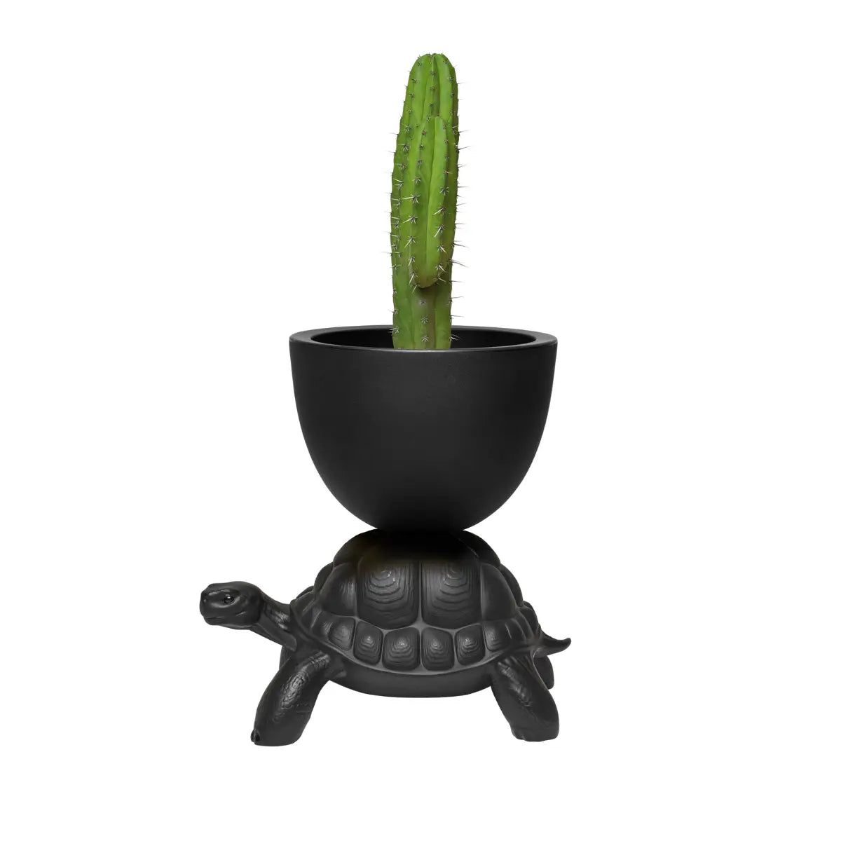 Vaso nero sorretto sul carapace di una tartaruga in polietilene visione laterale