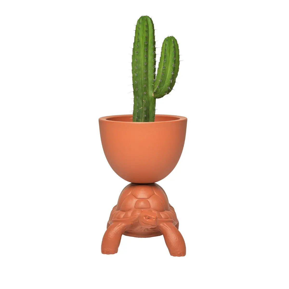 Vaso color terracotta sorretto sul carapace di una tartaruga in polietilene visione frontale