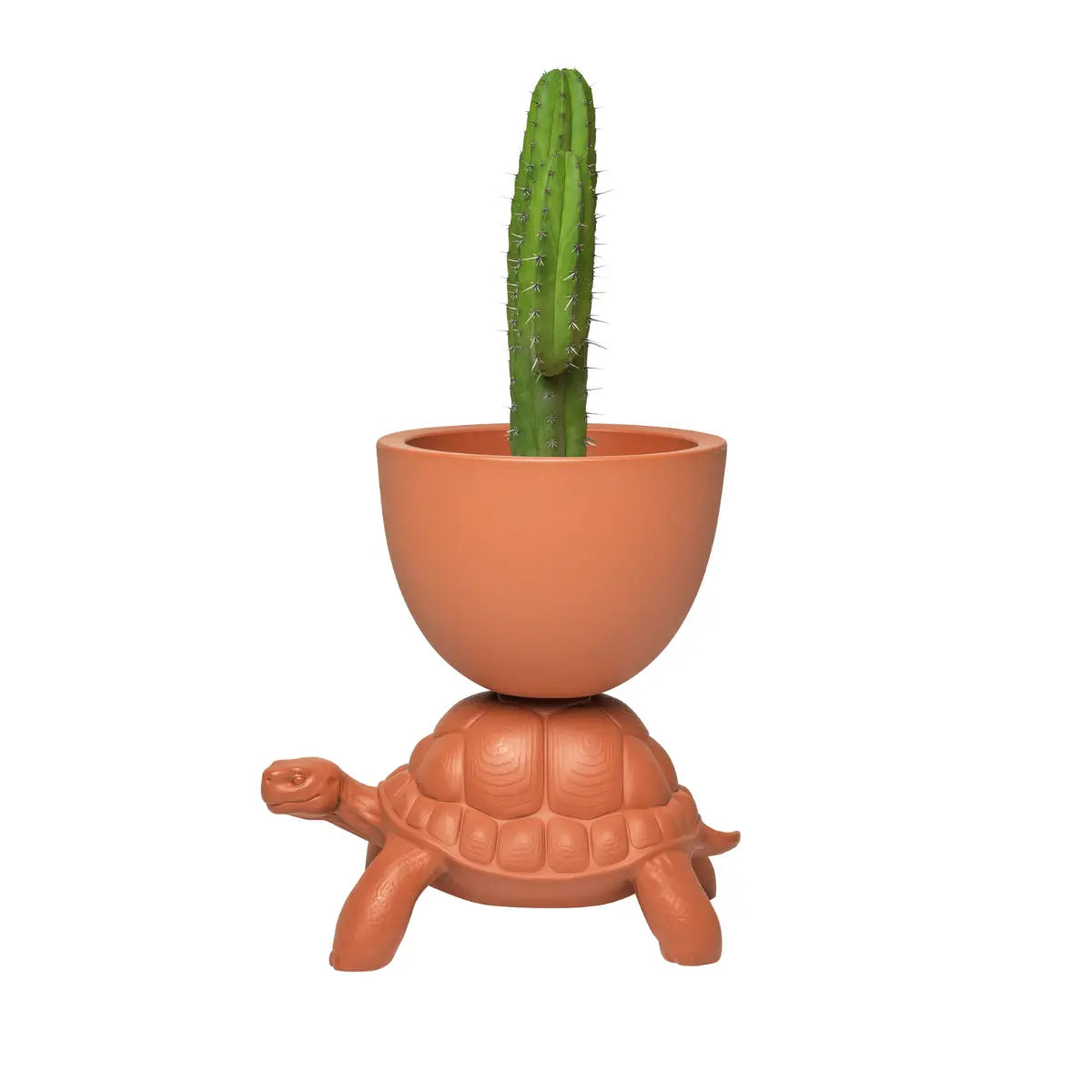 Vaso color terracotta sorretto sul carapace di una tartaruga in polietilene visione laterale