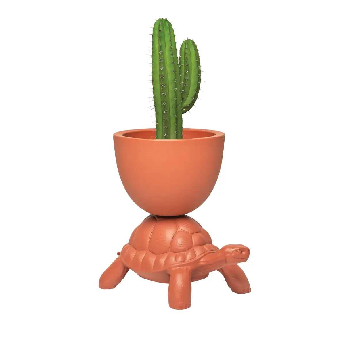Vaso color terracotta sorretto sul carapace di una tartaruga in polietilene visione profilo