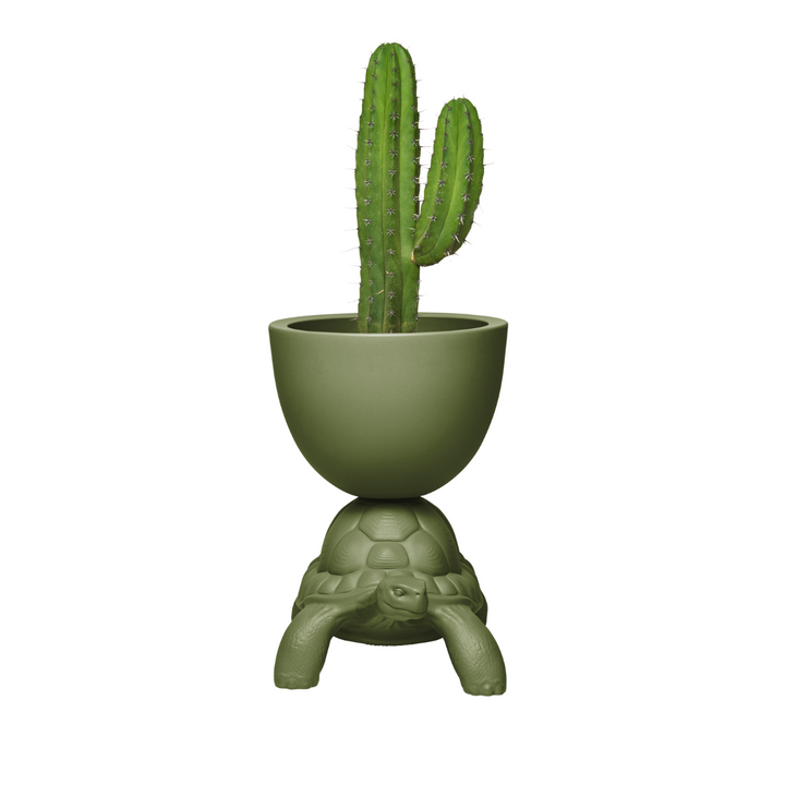 Vaso verde  sorretto sul carapace di una tartaruga visione frontale