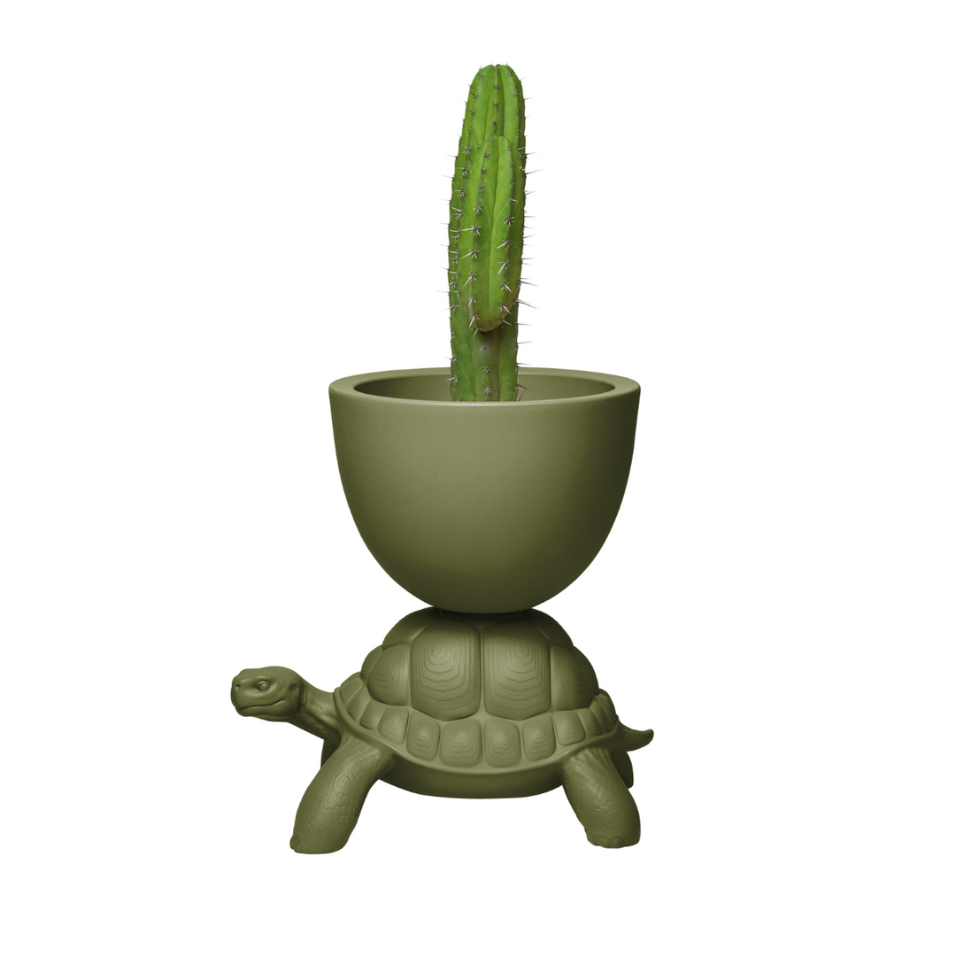 Vaso verde sorretto sul carapace di una tartaruga  visione laterale