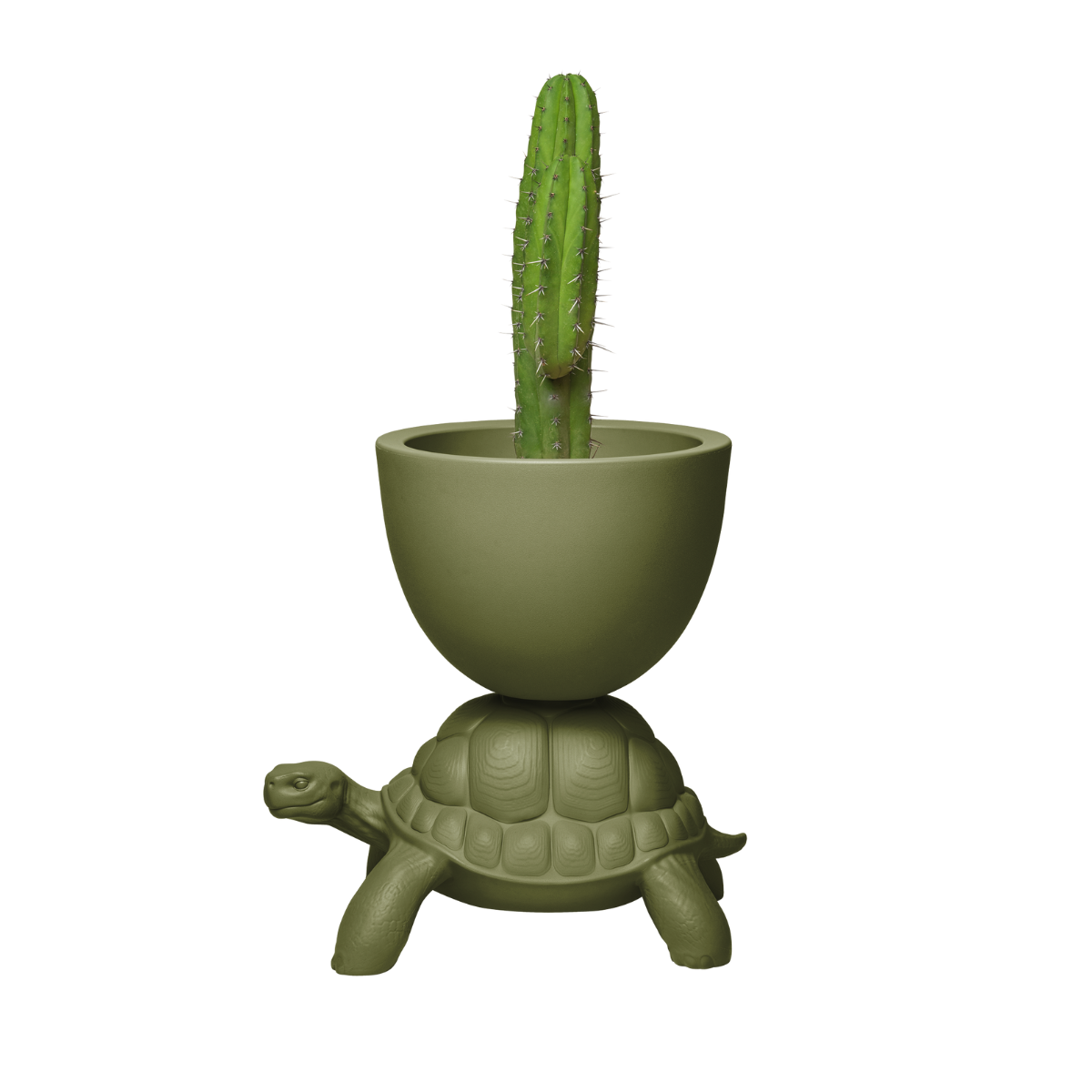 Vaso verde sorretto sul carapace di una tartaruga  visione laterale