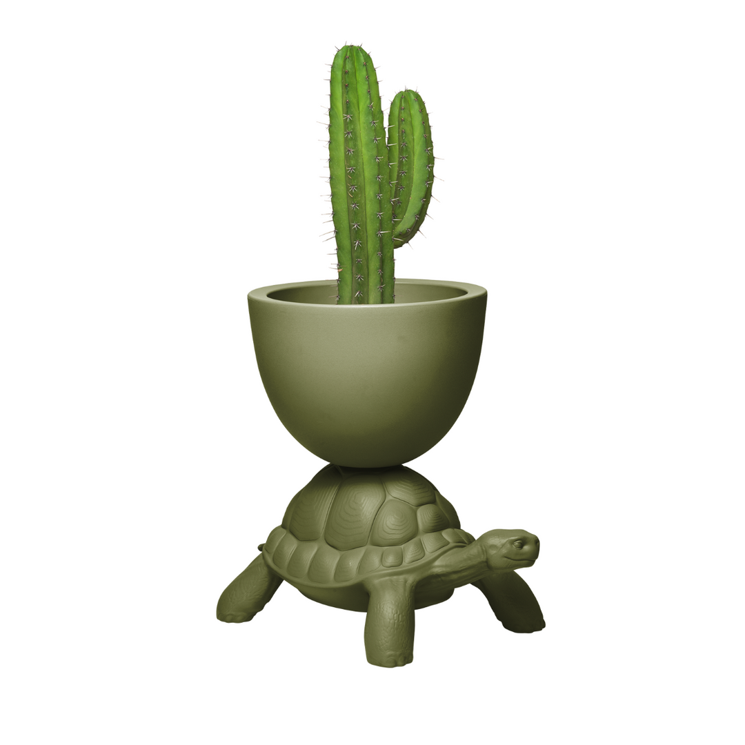 Vaso grigio sorretto sul carapace di una tartaruga in polietilene