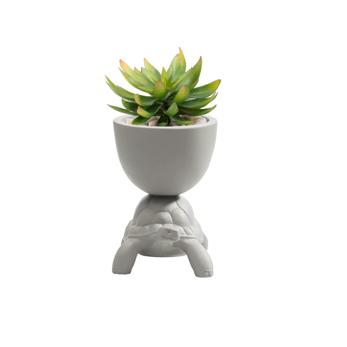 Vasetto con pianta grassa sorretto sul carapace di una tartaruga in ceramica grigia