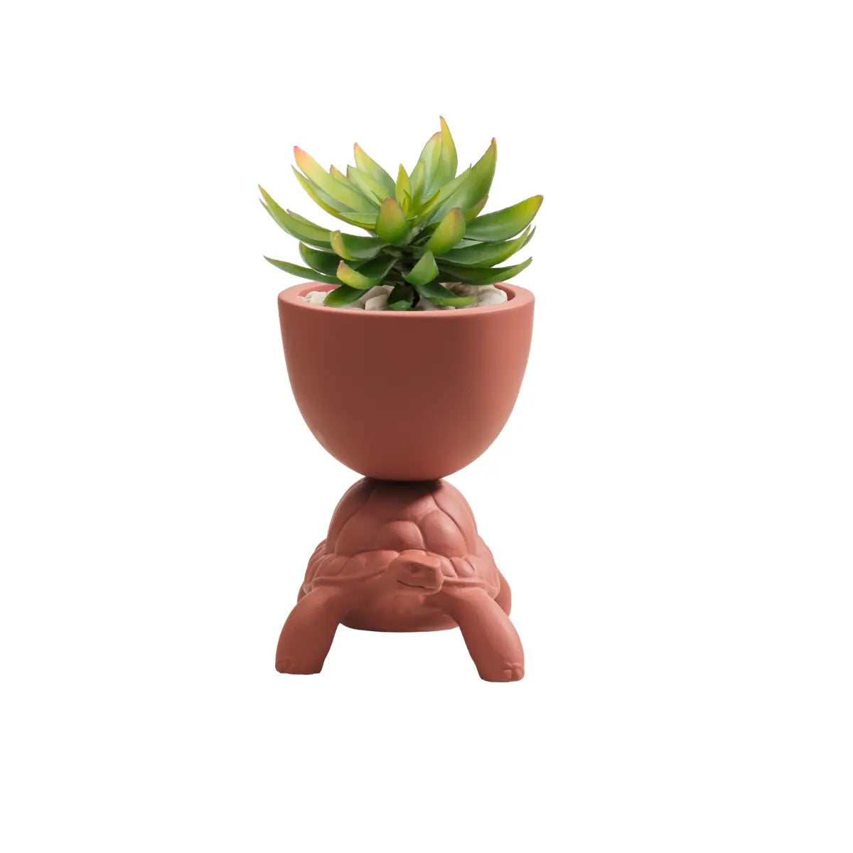 Vasetto con pianta grassa sorretto sul carapace di una tartaruga in ceramica color terracotta