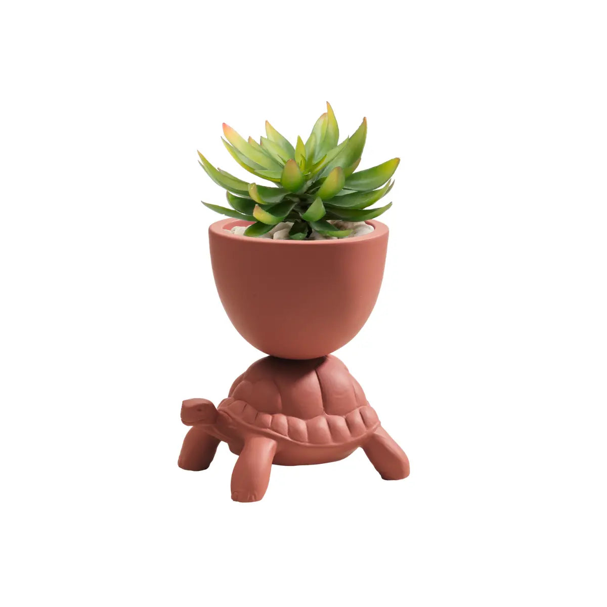 Vasetto con pianta grassa sorretto sul carapace di una tartaruga in ceramica color terracotta
