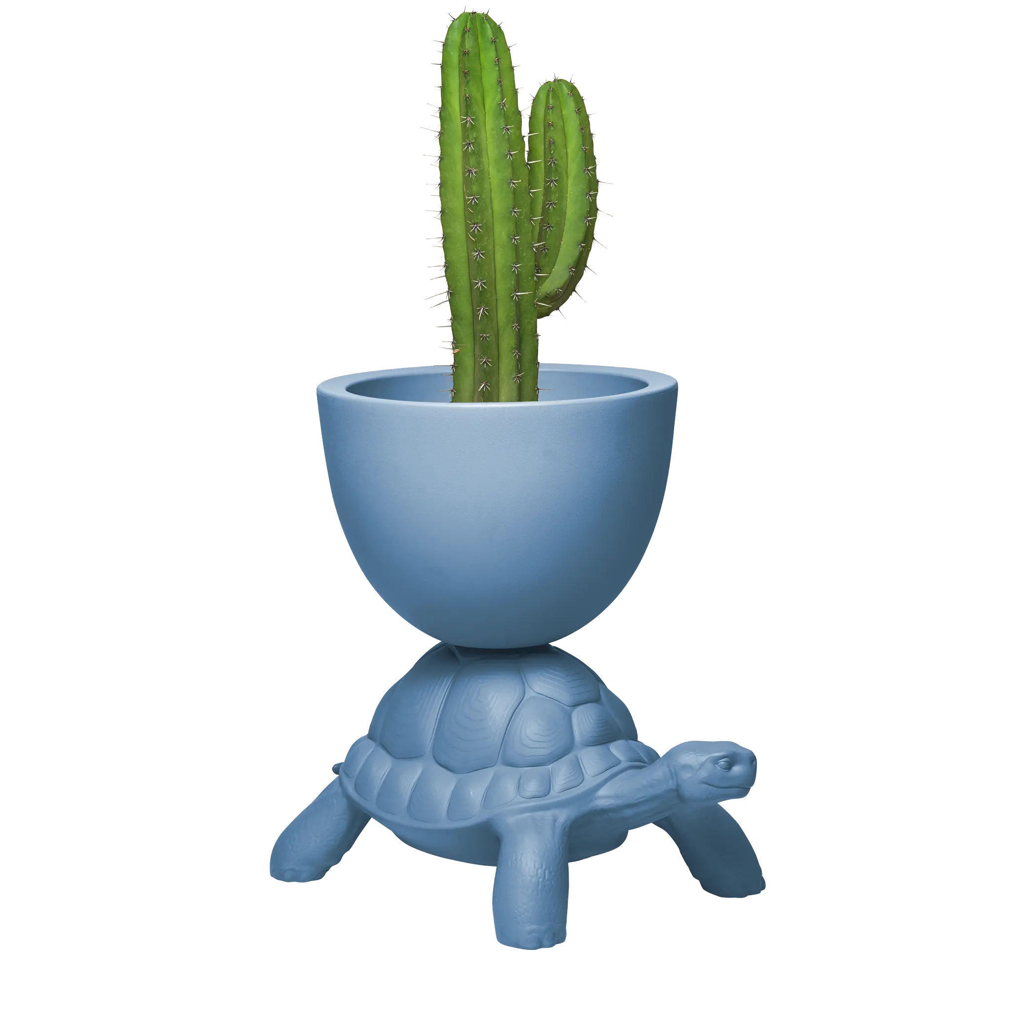 Vaso blu avio sorretto sul carapace di una tartaruga  visione laterale