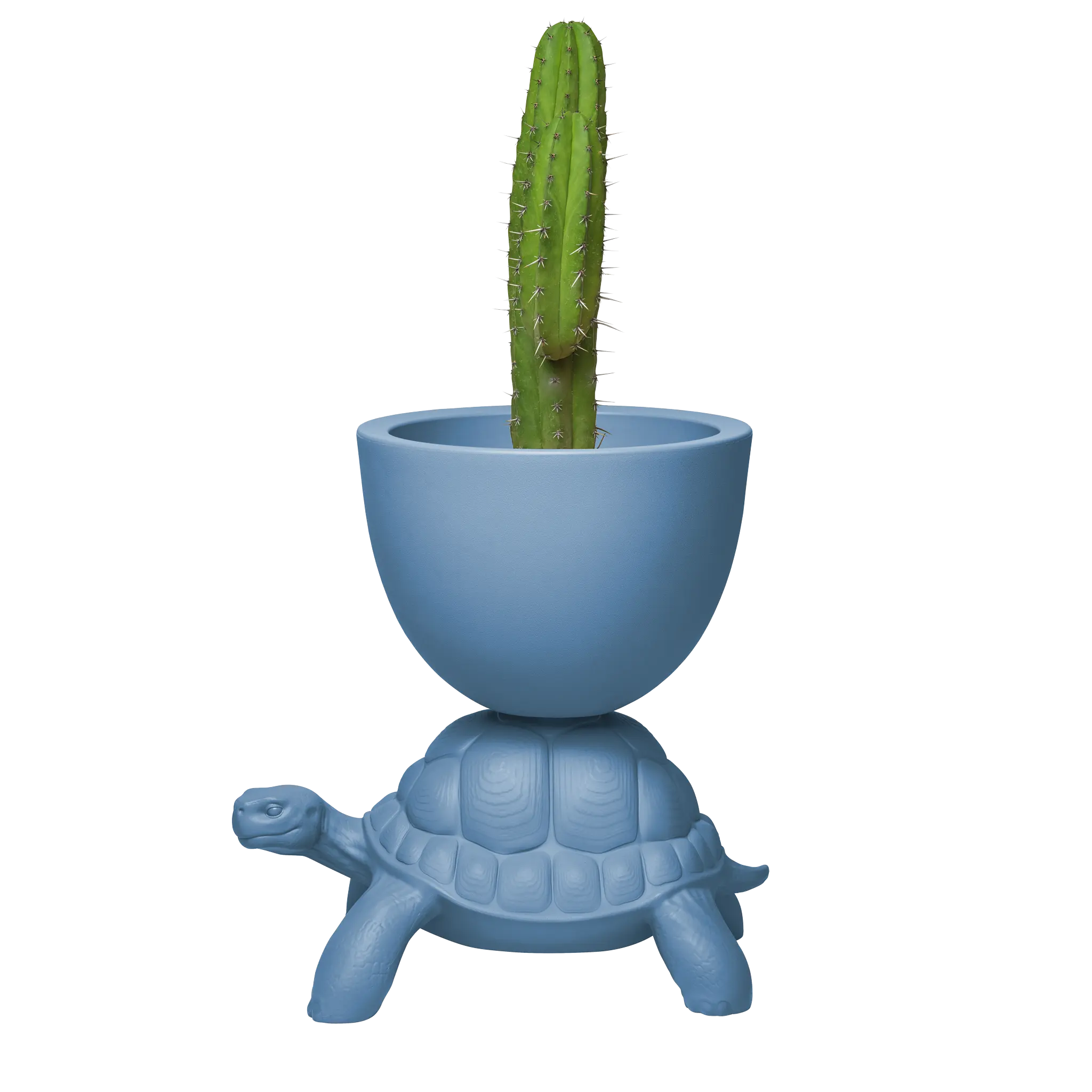 Vaso blu avio sorretto sul carapace di una tartaruga  visione laterale