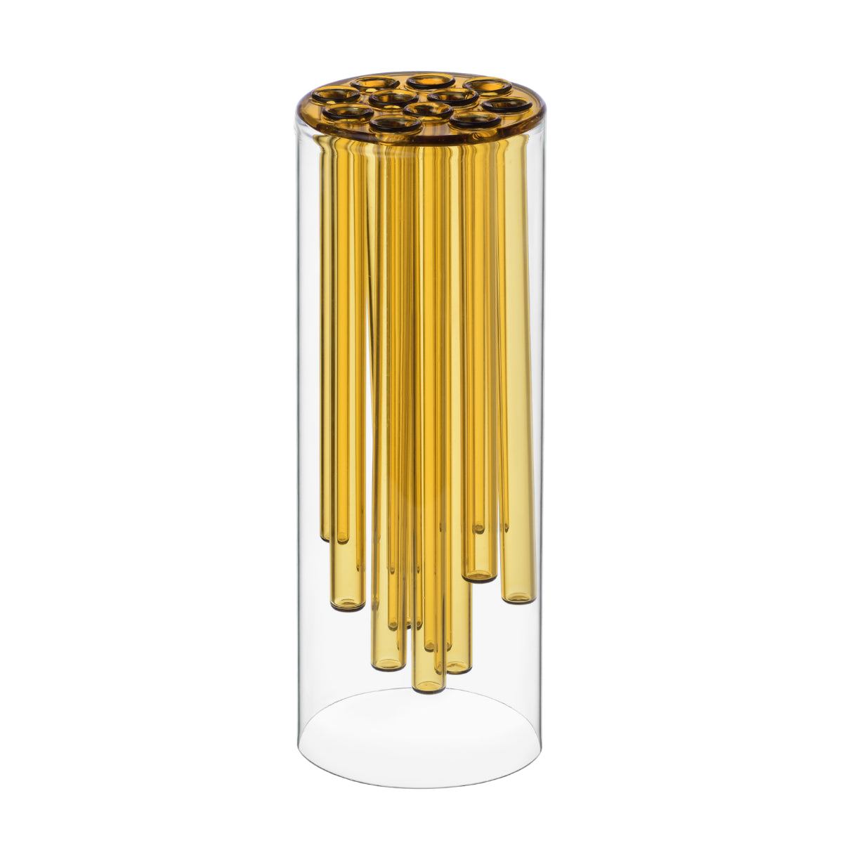 Vaso in vetro trasparente con inserti cilindrici in vetro giallo per fiori a stelo lungo.