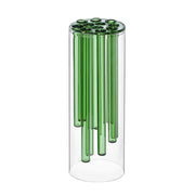 Vaso in vetro trasparente con inserti cilindrici in vetro verde per fiori a stelo lungo.