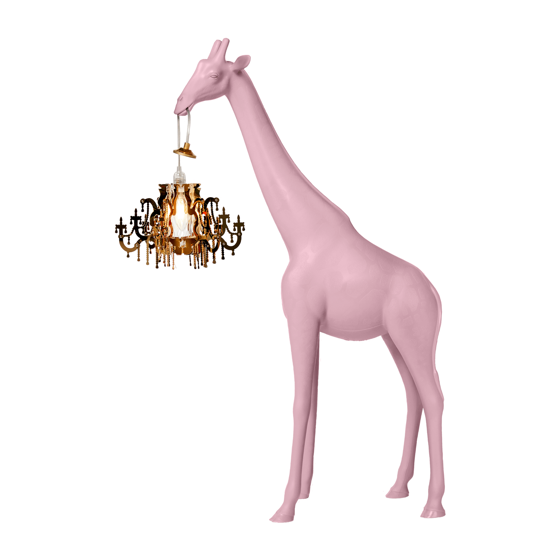 lampada rosa vista di profilo che sorregge lampadario